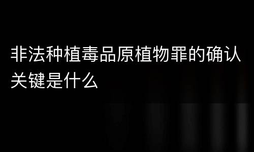 非法种植毒品原植物罪的确认关键是什么