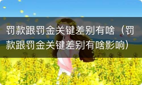 罚款跟罚金关键差别有啥（罚款跟罚金关键差别有啥影响）