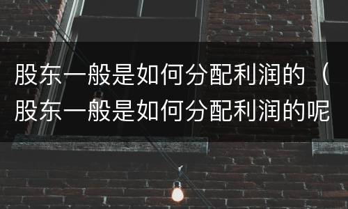 股东一般是如何分配利润的（股东一般是如何分配利润的呢）