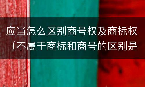 应当怎么区别商号权及商标权（不属于商标和商号的区别是）