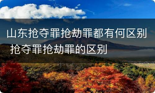 山东抢夺罪抢劫罪都有何区别 抢夺罪抢劫罪的区别