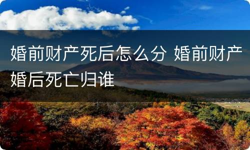 婚前财产死后怎么分 婚前财产婚后死亡归谁