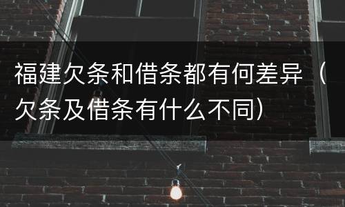 福建欠条和借条都有何差异（欠条及借条有什么不同）