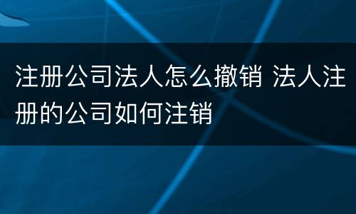 注册公司法人怎么撤销 法人注册的公司如何注销