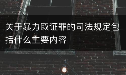 关于暴力取证罪的司法规定包括什么主要内容
