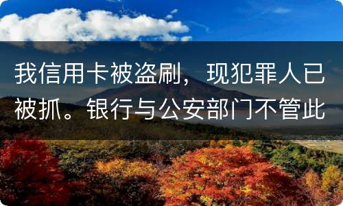我信用卡被盗刷，现犯罪人已被抓。银行与公安部门不管此事。我如何能取回款项呢项呢