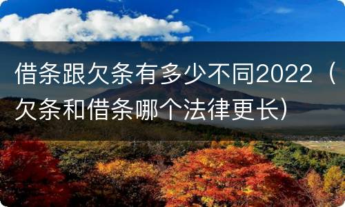 借条跟欠条有多少不同2022（欠条和借条哪个法律更长）