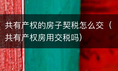 共有产权的房子契税怎么交（共有产权房用交税吗）