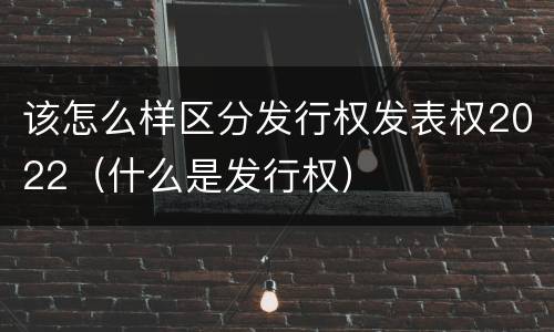 该怎么样区分发行权发表权2022（什么是发行权）