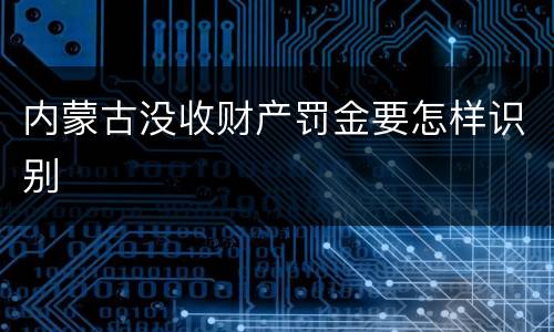 内蒙古没收财产罚金要怎样识别