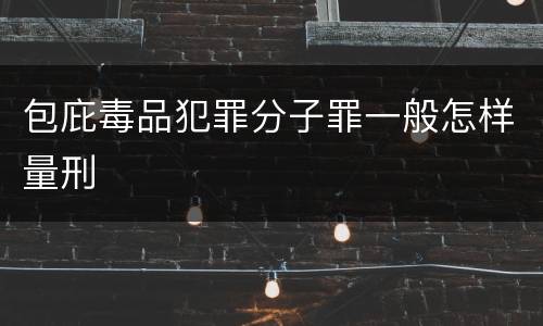 包庇毒品犯罪分子罪一般怎样量刑