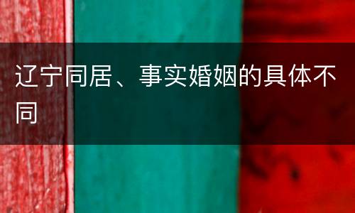 辽宁同居、事实婚姻的具体不同