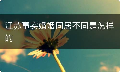 江苏事实婚姻同居不同是怎样的