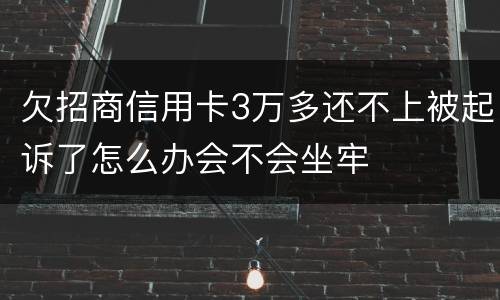 欠招商信用卡3万多还不上被起诉了怎么办会不会坐牢