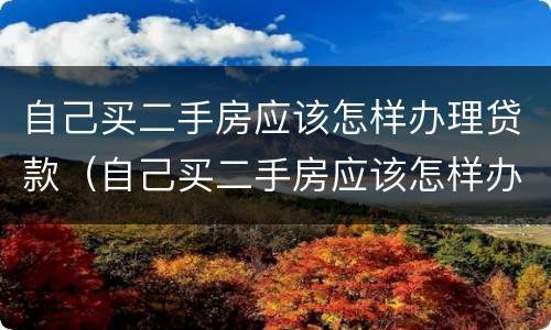 自己买二手房应该怎样办理贷款（自己买二手房应该怎样办理贷款呢）
