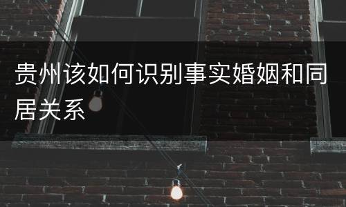 贵州该如何识别事实婚姻和同居关系