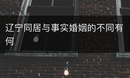 辽宁同居与事实婚姻的不同有何