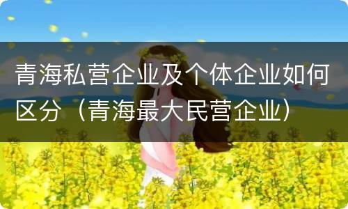 青海私营企业及个体企业如何区分（青海最大民营企业）