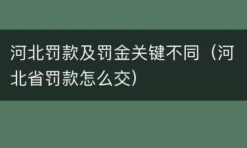 河北罚款及罚金关键不同（河北省罚款怎么交）