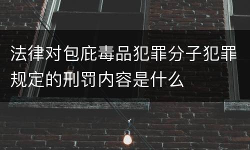 法律对包庇毒品犯罪分子犯罪规定的刑罚内容是什么