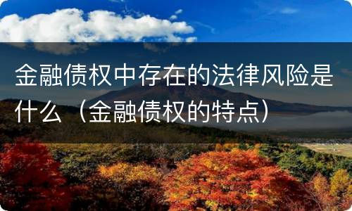 金融债权中存在的法律风险是什么（金融债权的特点）