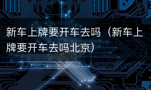 新车上牌要开车去吗（新车上牌要开车去吗北京）