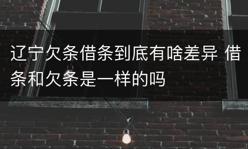 辽宁欠条借条到底有啥差异 借条和欠条是一样的吗