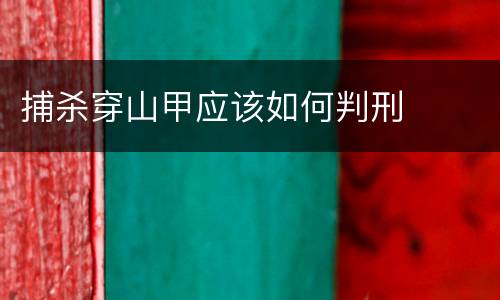捕杀穿山甲应该如何判刑