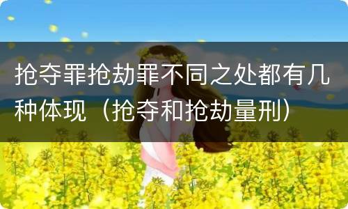 抢夺罪抢劫罪不同之处都有几种体现（抢夺和抢劫量刑）