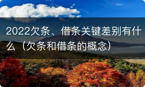 2022欠条、借条关键差别有什么（欠条和借条的概念）