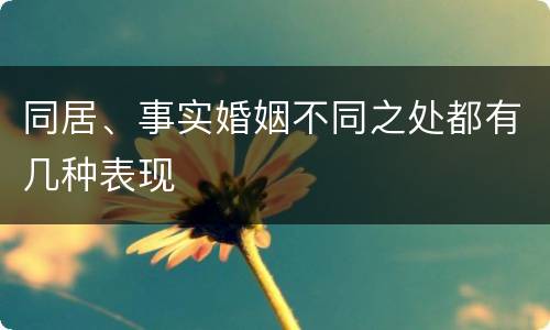 同居、事实婚姻不同之处都有几种表现