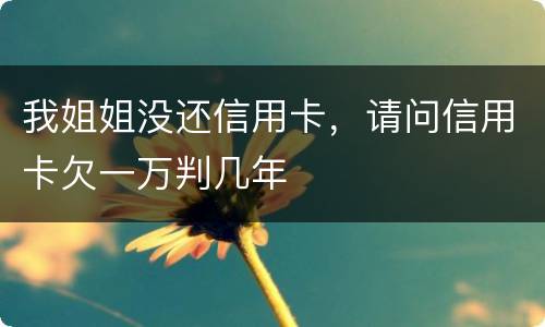 我姐姐没还信用卡，请问信用卡欠一万判几年