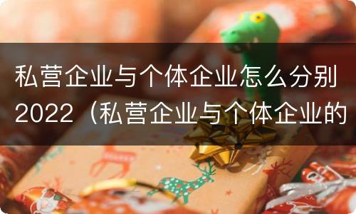 私营企业与个体企业怎么分别2022（私营企业与个体企业的区别）