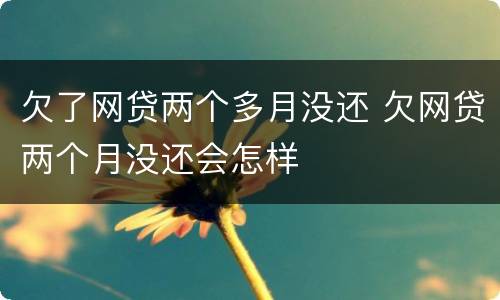 欠了网贷两个多月没还 欠网贷两个月没还会怎样
