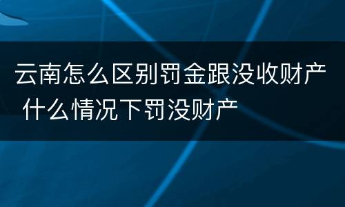 云南怎么区别罚金跟没收财产 什么情况下罚没财产