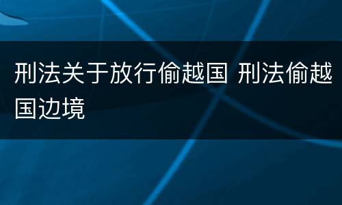 刑法关于放行偷越国 刑法偷越国边境