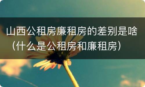 山西公租房廉租房的差别是啥（什么是公租房和廉租房）