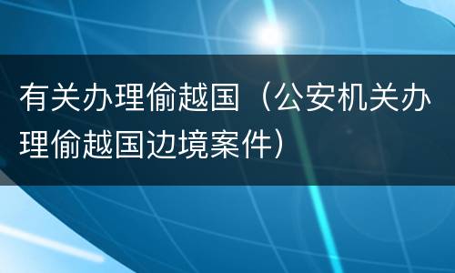 有关办理偷越国（公安机关办理偷越国边境案件）