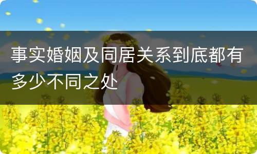 事实婚姻及同居关系到底都有多少不同之处