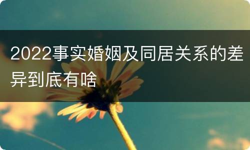 2022事实婚姻及同居关系的差异到底有啥