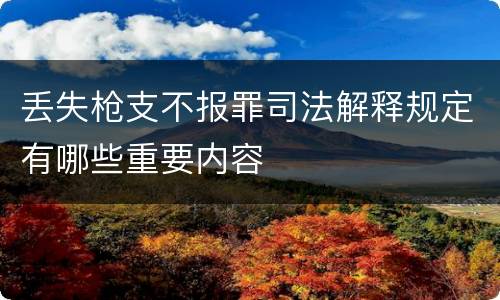 丢失枪支不报罪司法解释规定有哪些重要内容