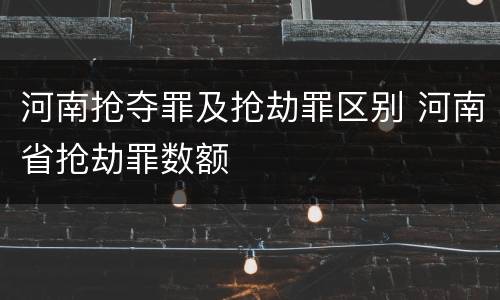 河南抢夺罪及抢劫罪区别 河南省抢劫罪数额
