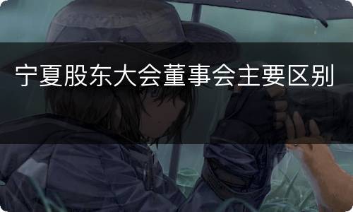 宁夏股东大会董事会主要区别