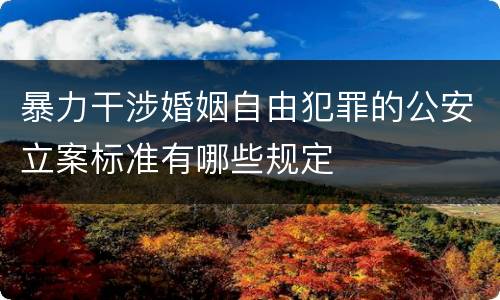 暴力干涉婚姻自由犯罪的公安立案标准有哪些规定