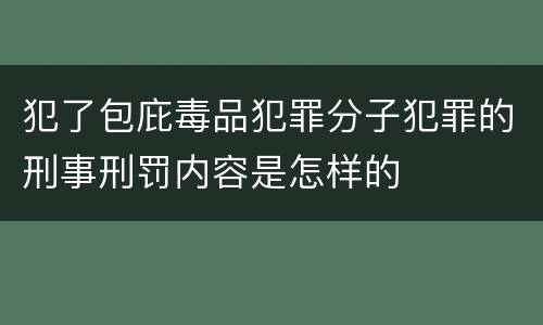 犯了包庇毒品犯罪分子犯罪的刑事刑罚内容是怎样的