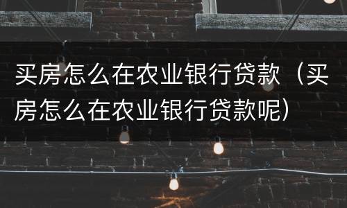 买房怎么在农业银行贷款（买房怎么在农业银行贷款呢）