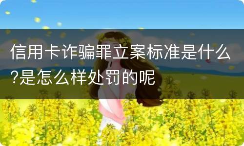 信用卡诈骗罪立案标准是什么?是怎么样处罚的呢