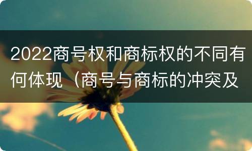 2022商号权和商标权的不同有何体现（商号与商标的冲突及解决措施）