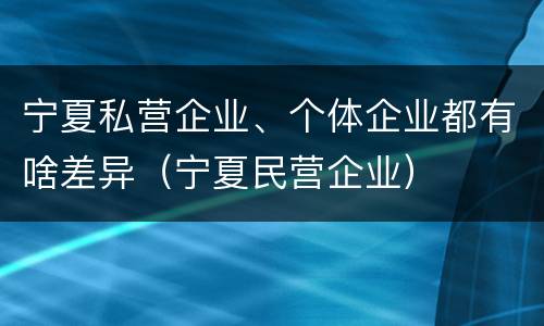 宁夏私营企业、个体企业都有啥差异（宁夏民营企业）
