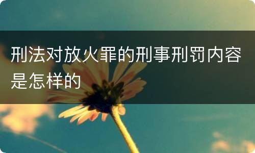 刑法对放火罪的刑事刑罚内容是怎样的
